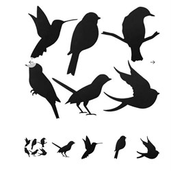 Scratch Birds 24S
